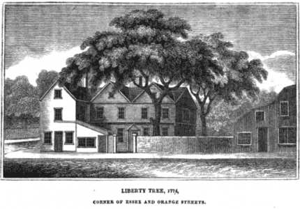 Liberty Tree Of Boston